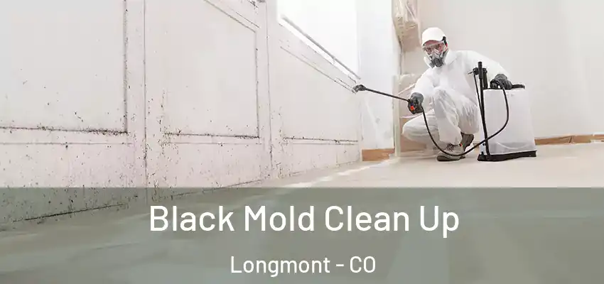  Black Mold Clean Up Longmont - CO