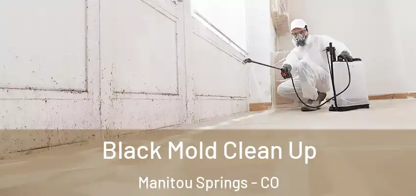  Black Mold Clean Up Manitou Springs - CO