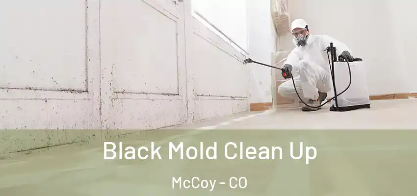  Black Mold Clean Up McCoy - CO