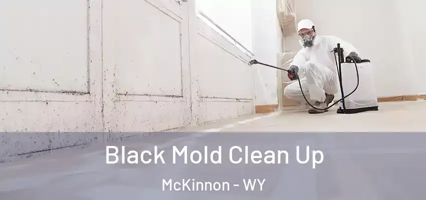  Black Mold Clean Up McKinnon - WY