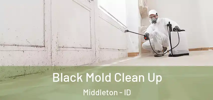 Black Mold Clean Up Middleton - ID