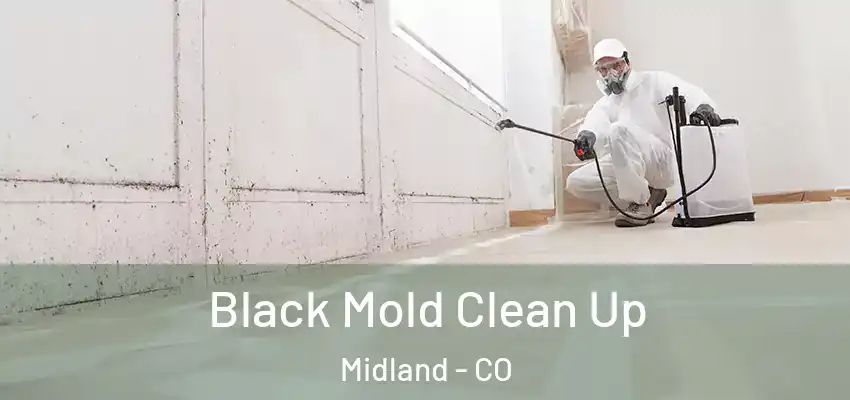  Black Mold Clean Up Midland - CO