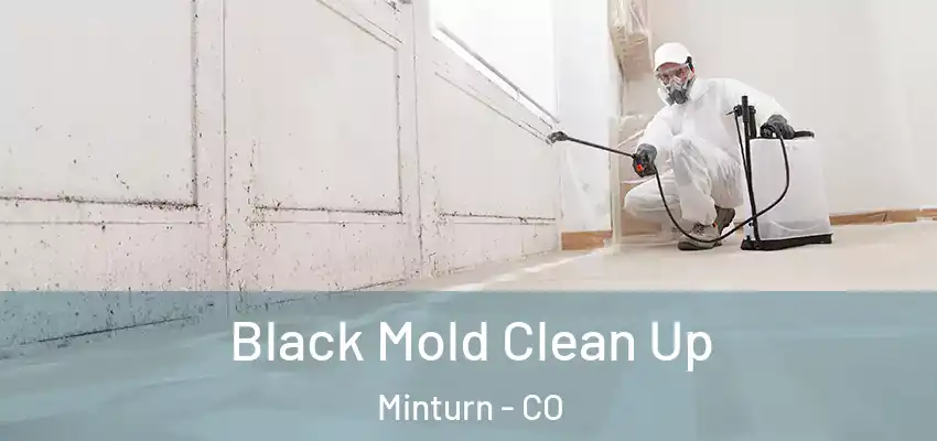 Black Mold Clean Up Minturn - CO