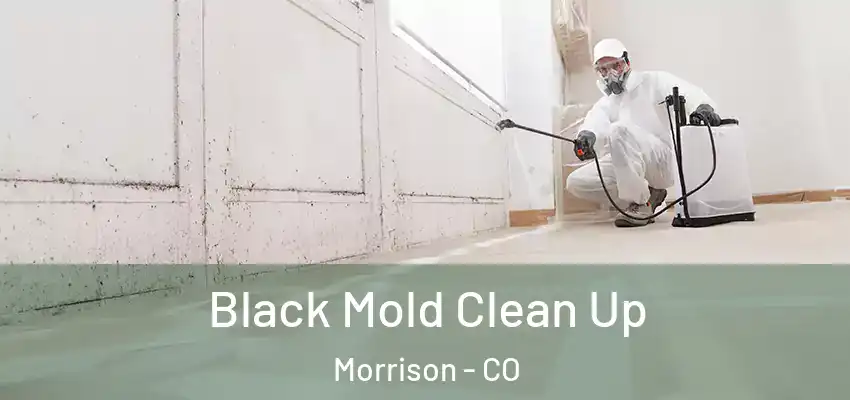 Black Mold Clean Up Morrison - CO