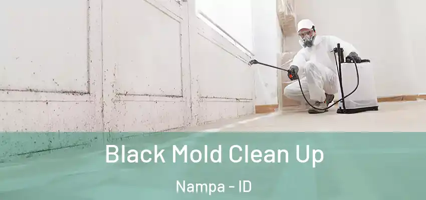 Black Mold Clean Up Nampa - ID