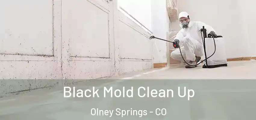 Black Mold Clean Up Olney Springs - CO
