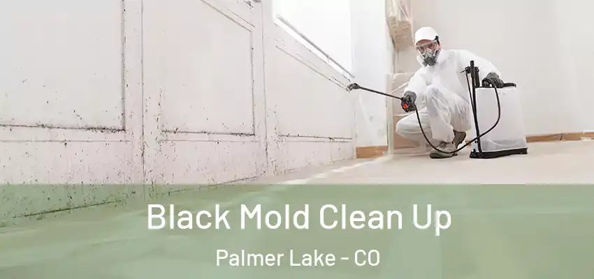 Black Mold Clean Up Palmer Lake - CO