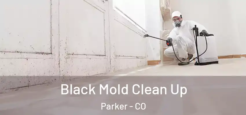 Black Mold Clean Up Parker - CO