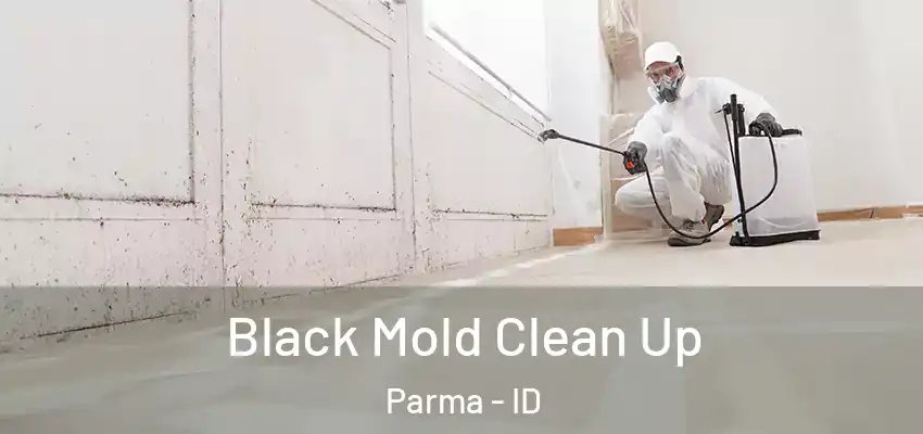  Black Mold Clean Up Parma - ID