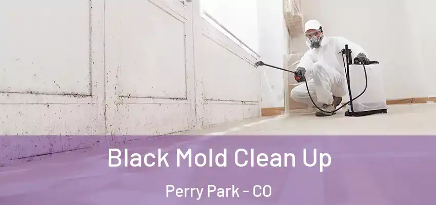 Black Mold Clean Up Perry Park - CO