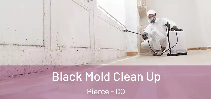  Black Mold Clean Up Pierce - CO