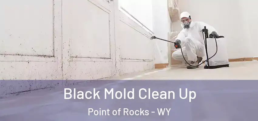 Black Mold Clean Up Point of Rocks - WY