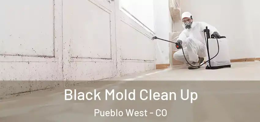  Black Mold Clean Up Pueblo West - CO
