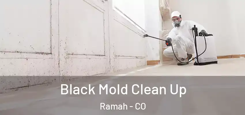 Black Mold Clean Up Ramah - CO