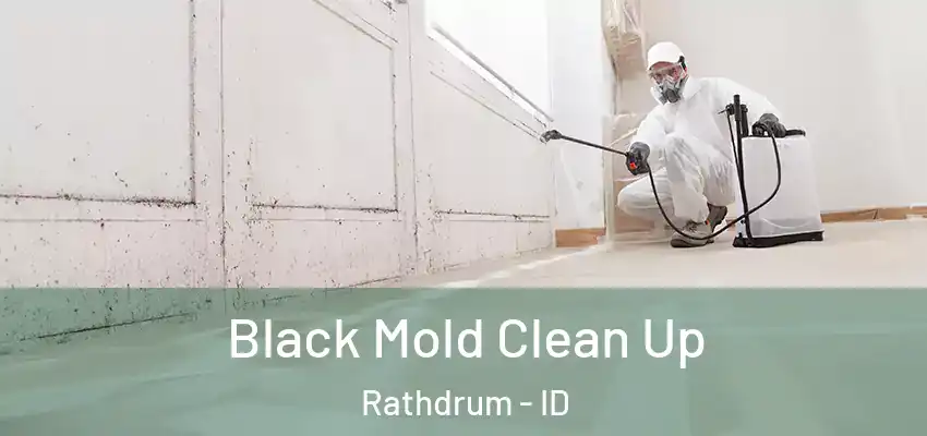 Black Mold Clean Up Rathdrum - ID
