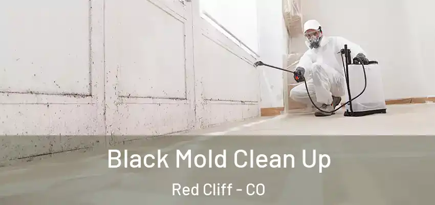 Black Mold Clean Up Red Cliff - CO
