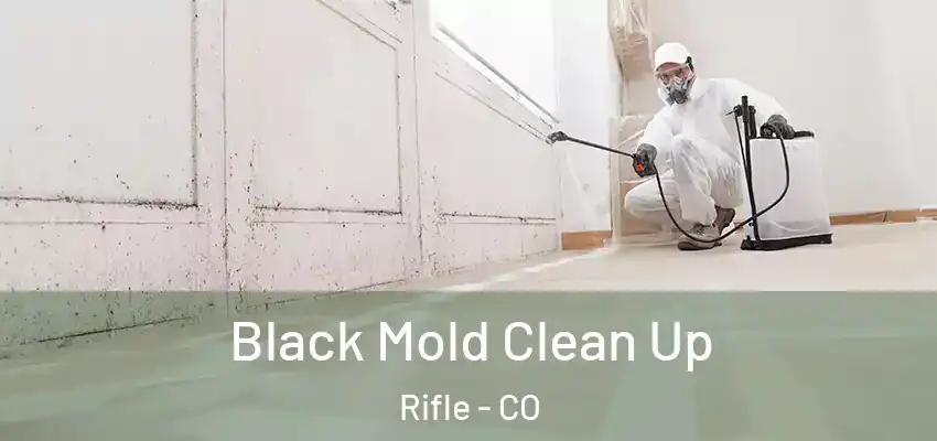 Black Mold Clean Up Rifle - CO