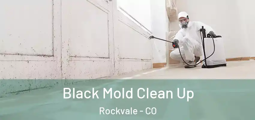  Black Mold Clean Up Rockvale - CO