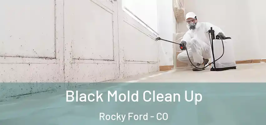  Black Mold Clean Up Rocky Ford - CO