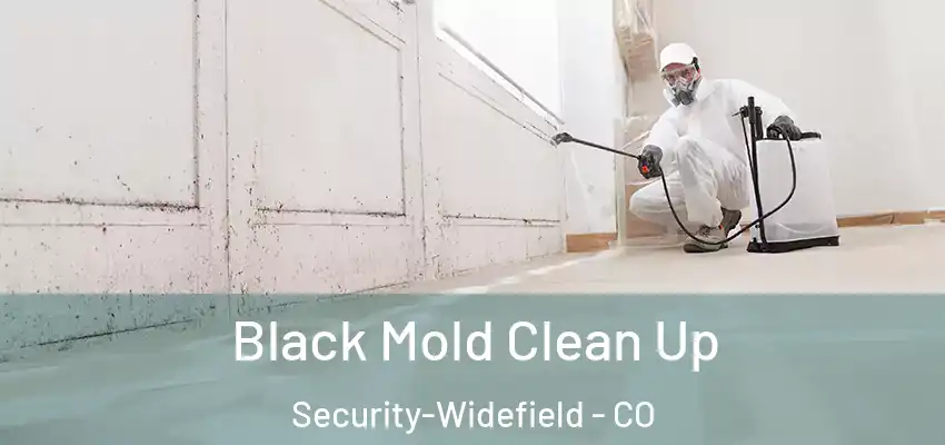  Black Mold Clean Up Security-Widefield - CO