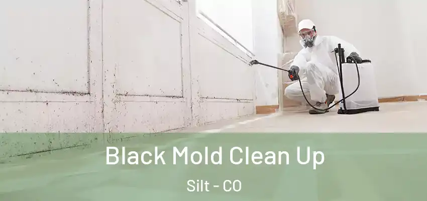 Black Mold Clean Up Silt - CO
