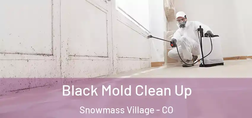  Black Mold Clean Up Snowmass Village - CO