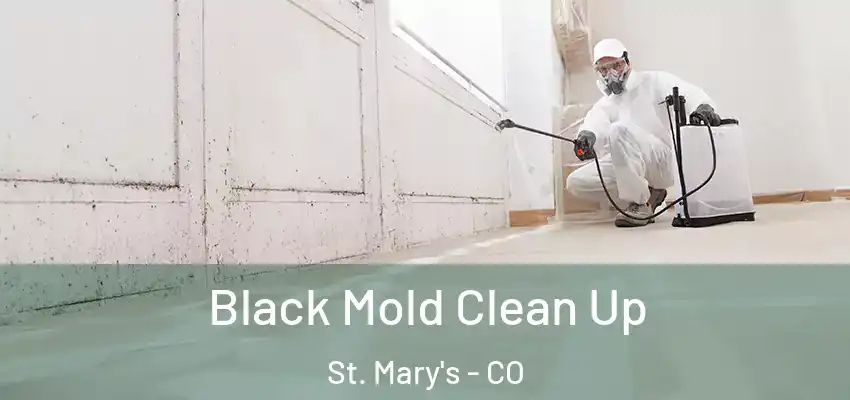  Black Mold Clean Up St. Mary's - CO