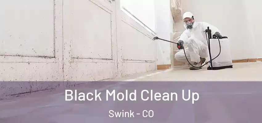  Black Mold Clean Up Swink - CO