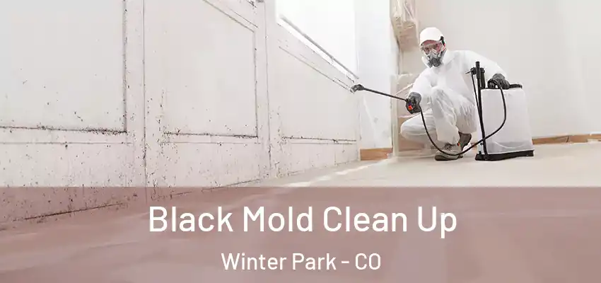 Black Mold Clean Up Winter Park - CO