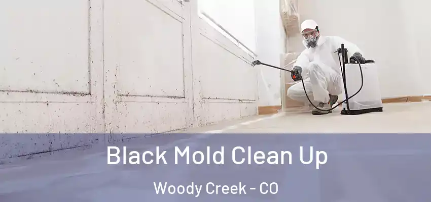  Black Mold Clean Up Woody Creek - CO