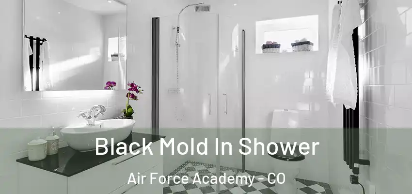  Black Mold In Shower Air Force Academy - CO