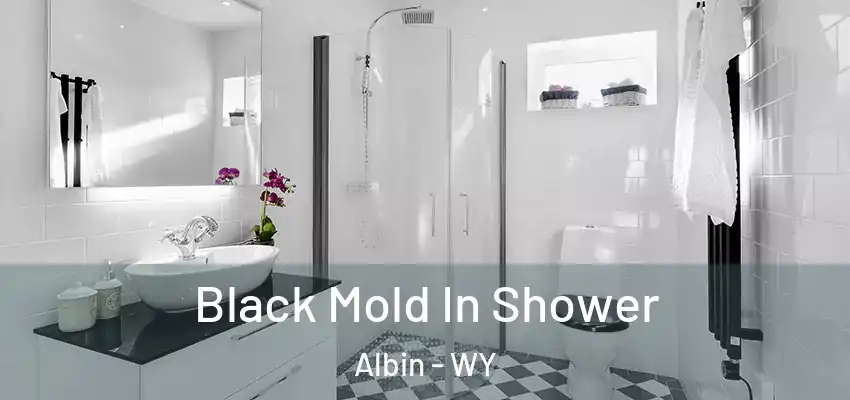  Black Mold In Shower Albin - WY