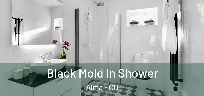  Black Mold In Shower Alma - CO