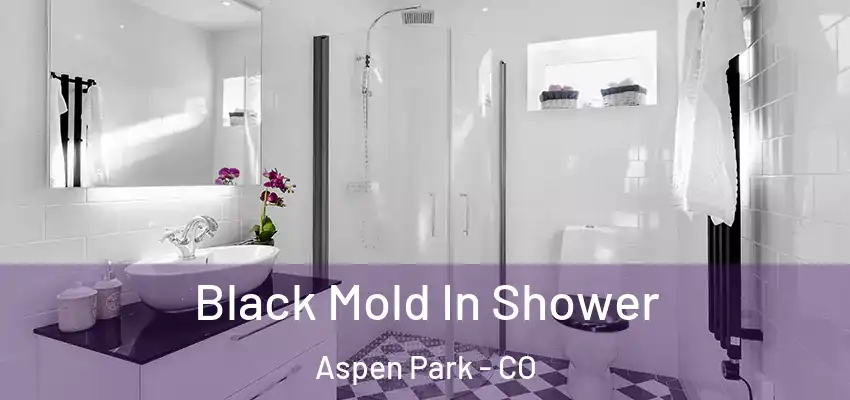  Black Mold In Shower Aspen Park - CO