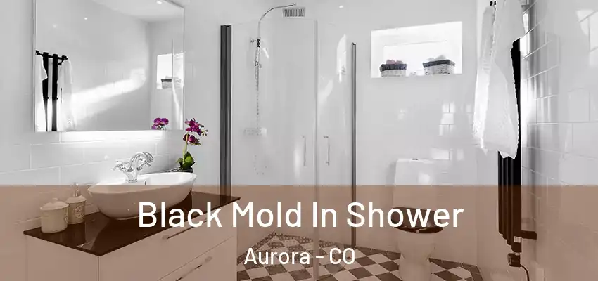  Black Mold In Shower Aurora - CO