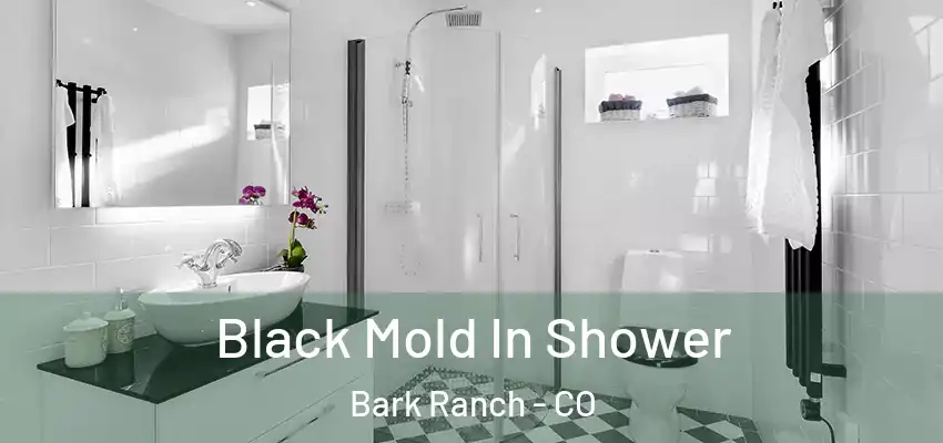  Black Mold In Shower Bark Ranch - CO