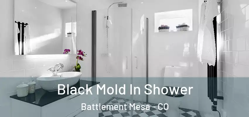 Black Mold In Shower Battlement Mesa - CO