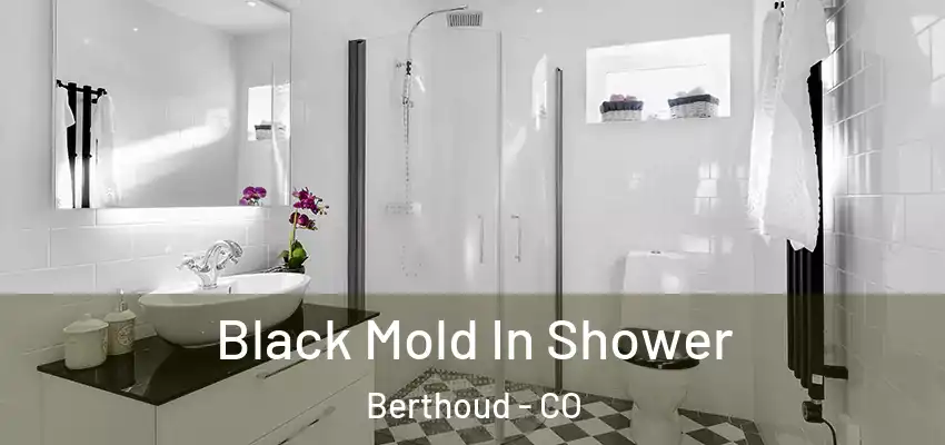 Black Mold In Shower Berthoud - CO