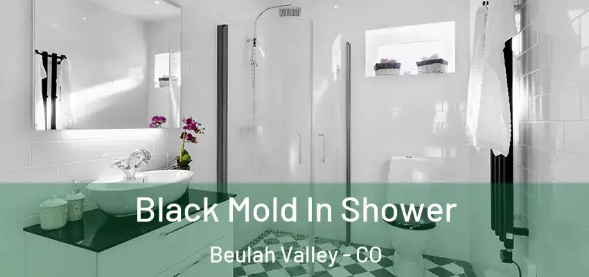 Black Mold In Shower Beulah Valley - CO