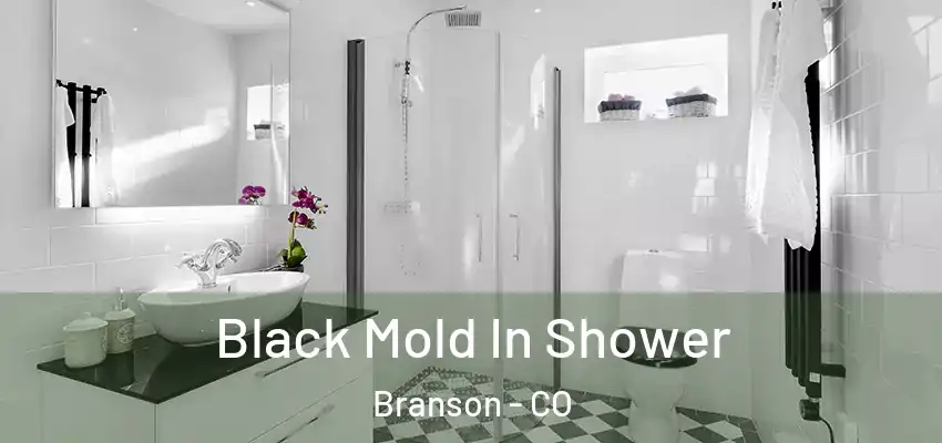  Black Mold In Shower Branson - CO