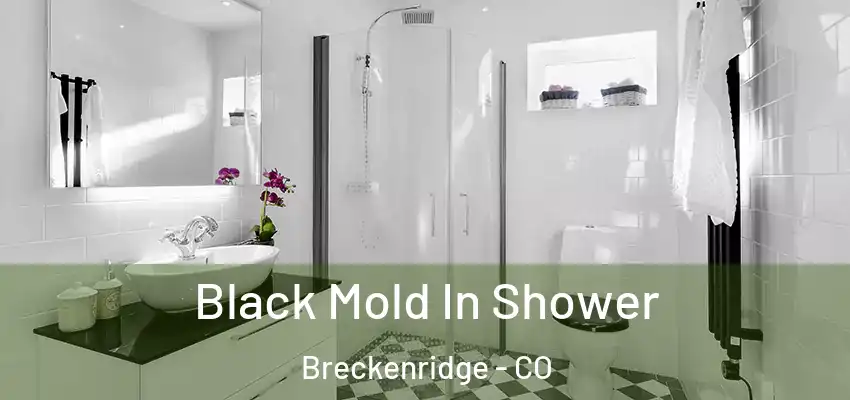  Black Mold In Shower Breckenridge - CO