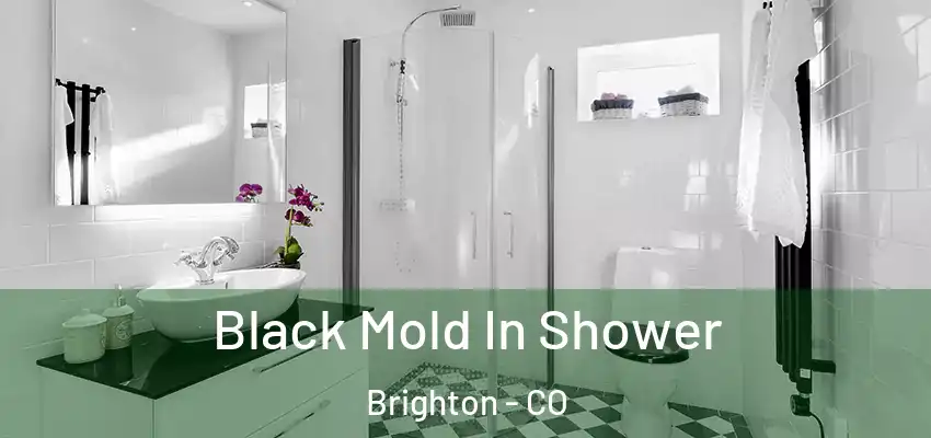  Black Mold In Shower Brighton - CO