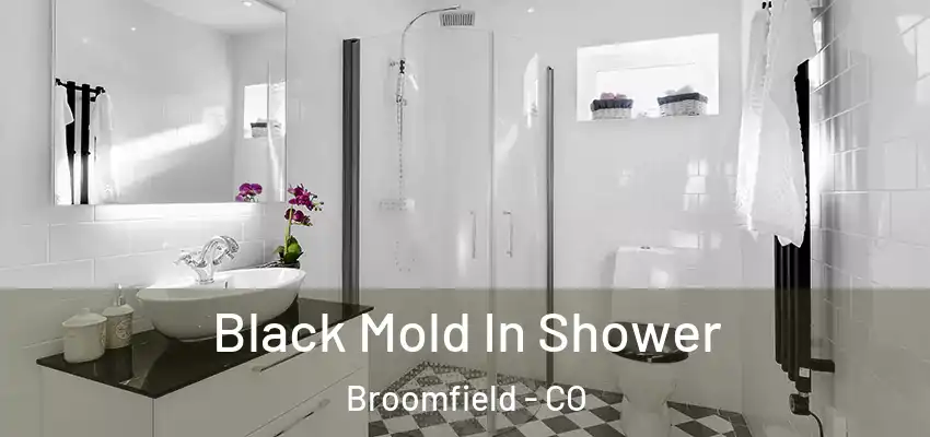  Black Mold In Shower Broomfield - CO