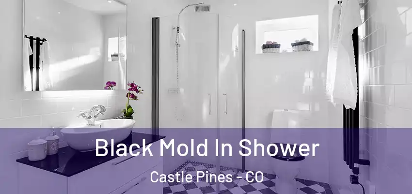 Black Mold In Shower Castle Pines - CO