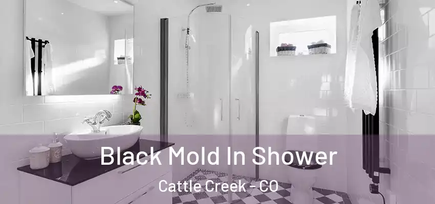  Black Mold In Shower Cattle Creek - CO