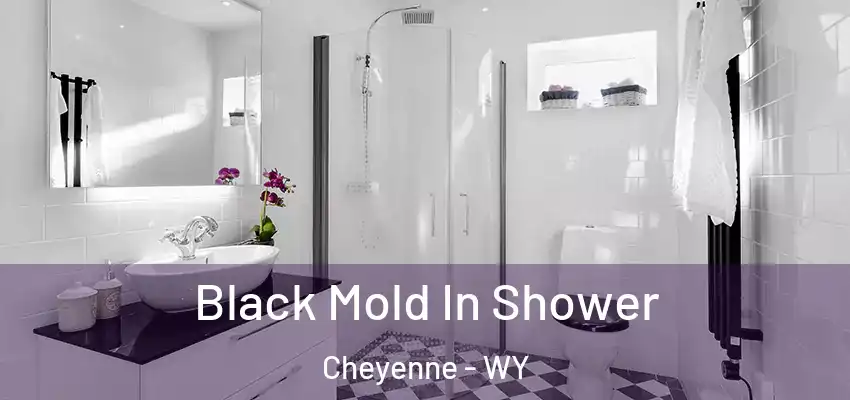 Black Mold In Shower Cheyenne - WY