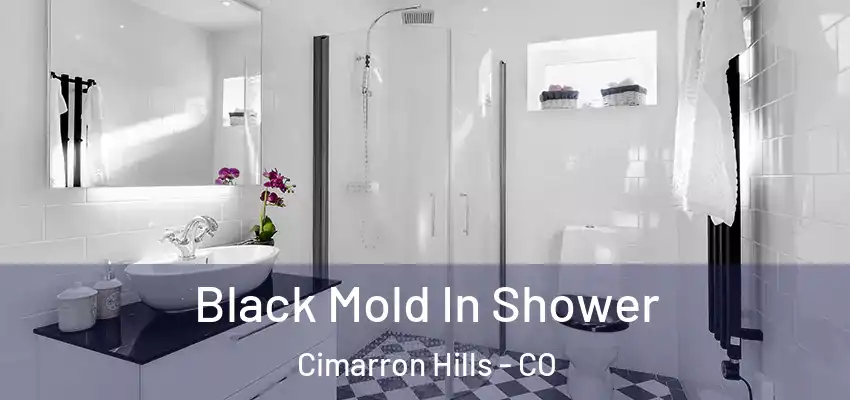 Black Mold In Shower Cimarron Hills - CO
