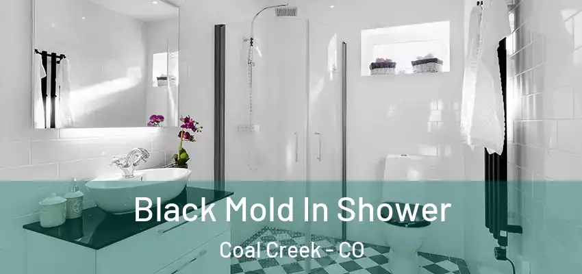 Black Mold In Shower Coal Creek - CO