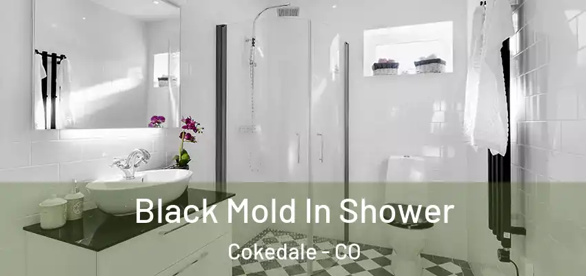 Black Mold In Shower Cokedale - CO