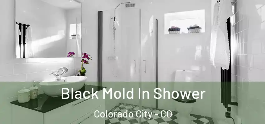  Black Mold In Shower Colorado City - CO